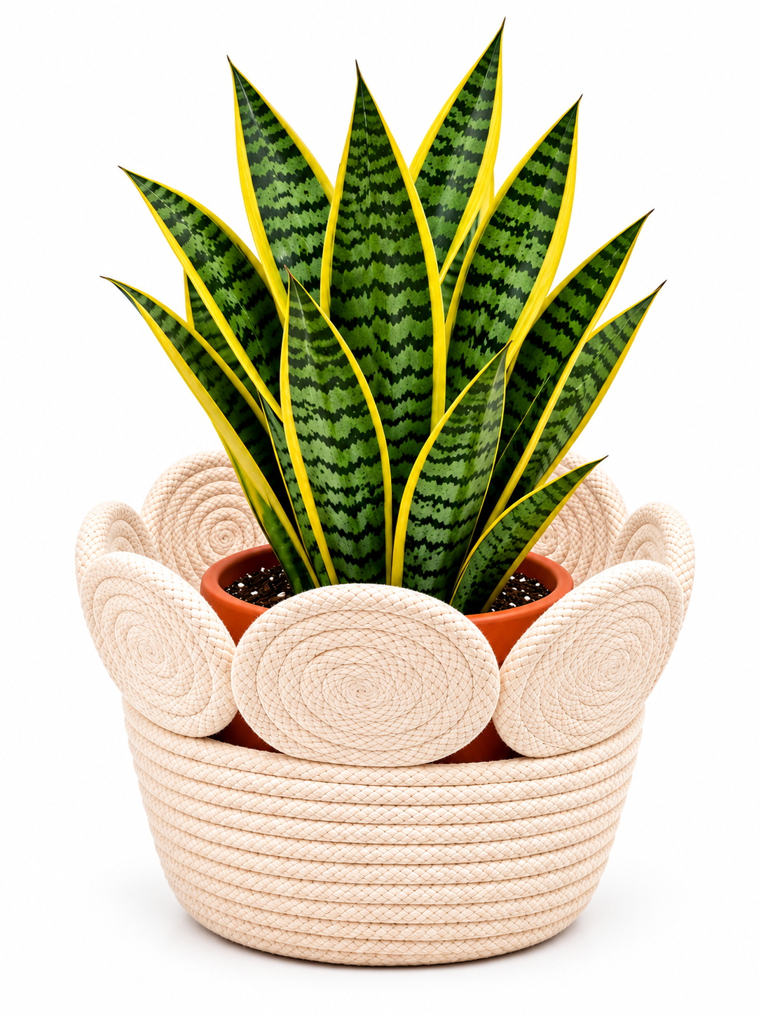 Handmade Woven Rope Planter Basket with Floral Spiral Design | Decorative Plant Pot Cover for Home, Living Room, Balcony & Office Décor-8x8 inch